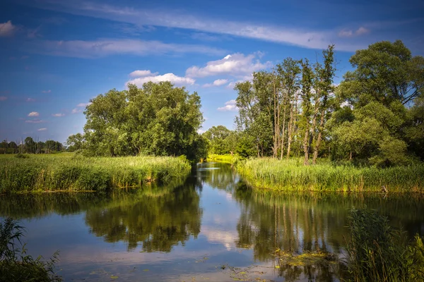 Landscape in Germany — Stock Photo, Image