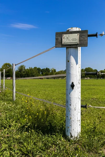 Elektromos kerítés, zöld legelő — Stock Fotó