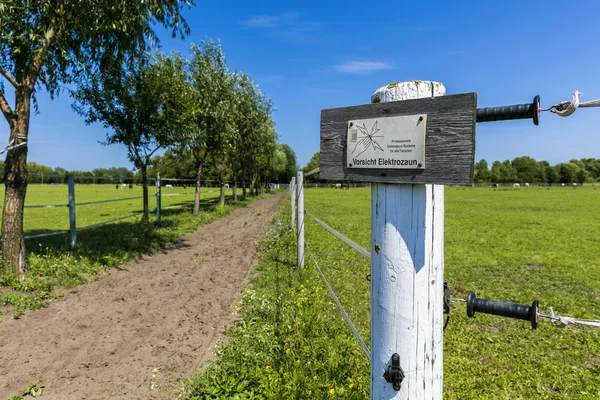 Electric fence in a green pasture — Stock Photo, Image