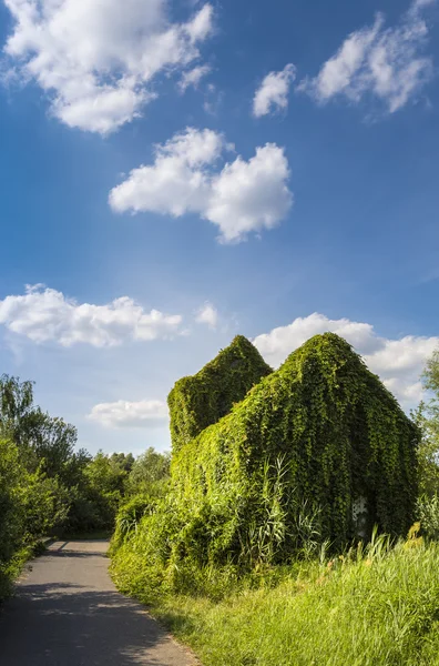 Glömda kyrka — Stockfoto