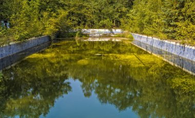 ormandaki değil kullanılan Havuzu