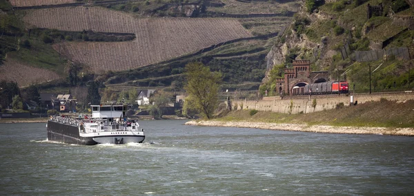 Schifffahrt auf dem Rhein in Hessen — Stockfoto