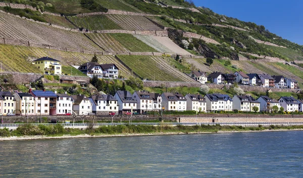 Половинчатые дома и небольшие города вдоль Рейна в Германии — стоковое фото