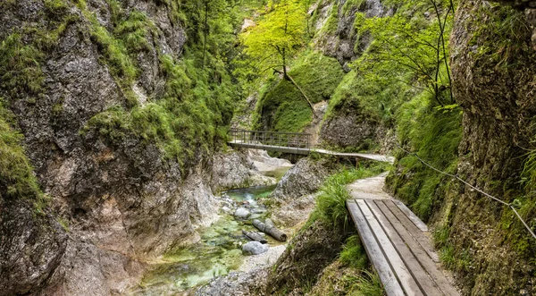the Almbachklamm in Berchtesgaden in Bavaria