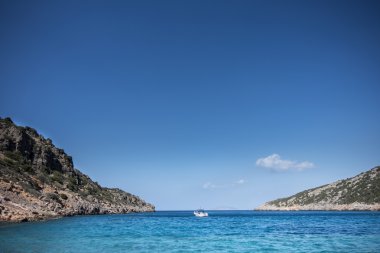 Sahilde bir defne BM Güney Yunanistan üzerinde