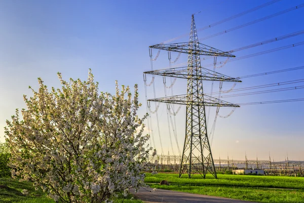 Almanya'da bir alanda bir elektrik pilon — Stok fotoğraf