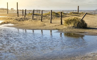 Sahilde sonbahar gün ışığı