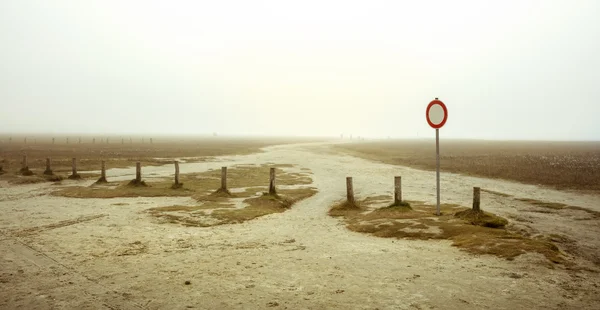 Una giornata nebbiosa sulla spiaggia di Sankt Peter Ording — Foto Stock