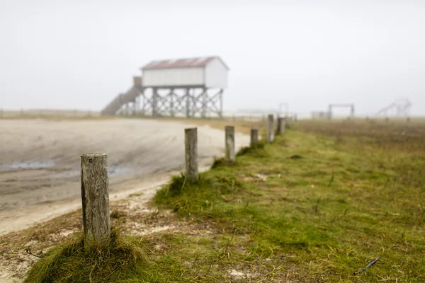 En dimmig dag på stranden i Sankt Peter Ording — Stockfoto