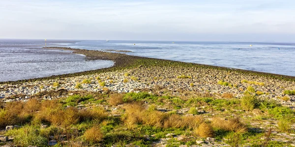 Stenarna på vallen i Nordsjön — Stockfoto