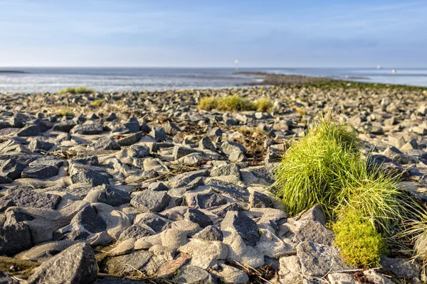 Piedras en el dique del Mar del Norte —  Fotos de Stock