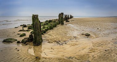 Güneşli bir sonbahar günü Kuzey Denizi Beach