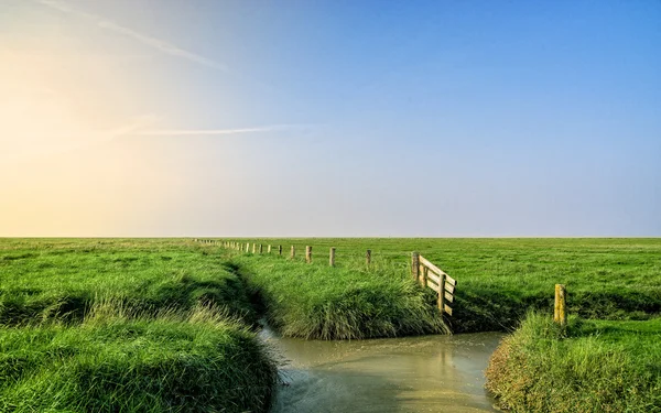 Arable land in the watten sea to the North Sea — Stock Photo, Image