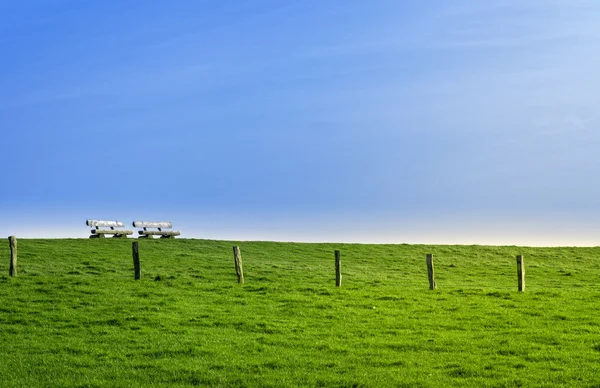 Two benches stand on a green hill — Stock Photo, Image