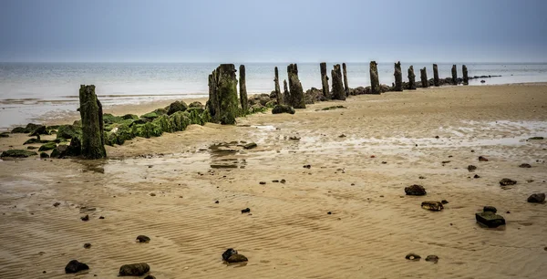 En solig höstdag i Nordsjön stranden — Stockfoto
