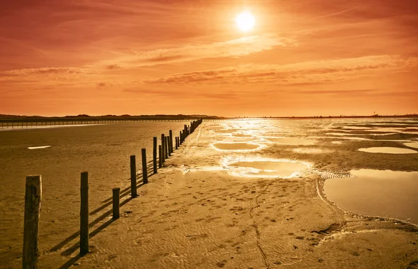 Un día soleado de otoño en la playa del Mar del Norte — Foto de Stock