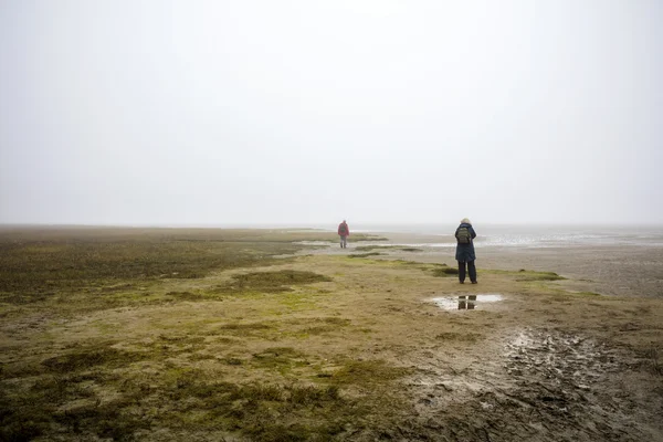 A misty autumn day at the North Sea beach — Stock Photo, Image