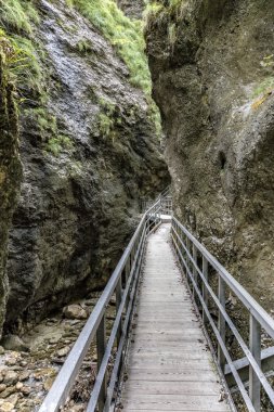 Gorge yoldan Bavyera Dağı