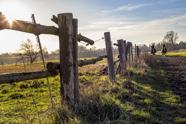 Trästaket begränsad ett fält — Stockfoto