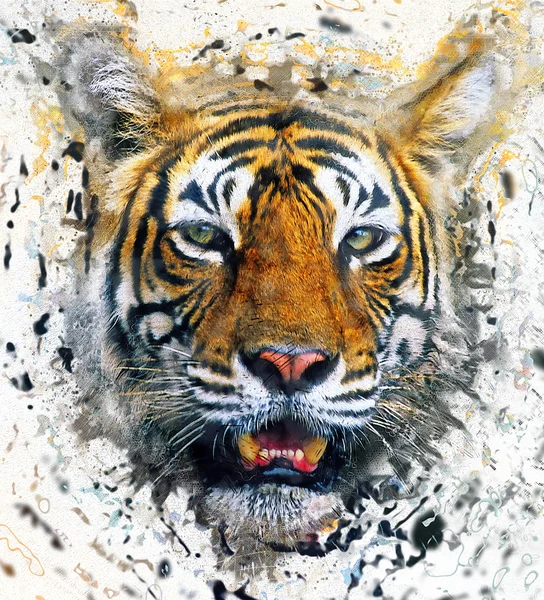 Portrait tiger — Stock Photo, Image