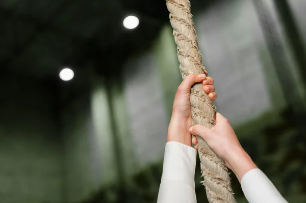 Junges Mädchen mit einem Falken — Stockfoto