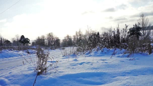 Estrada em um campo nevado no frio dia de inverno — Vídeo de Stock