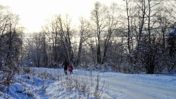 Soğuk kış günü karlı bir alanda yolda — Stok video