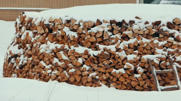 Firewood in a Stack Under Snow — Stock Video