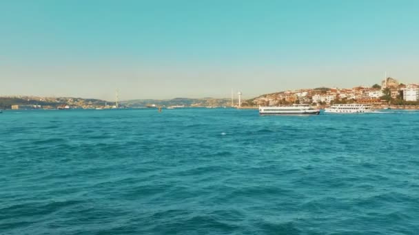 Vaddisznó úszik a Golden Horn (Halic) Bay, Isztambul, Törökország — Stock videók