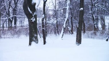 Şehir Parkı, kış görünümü