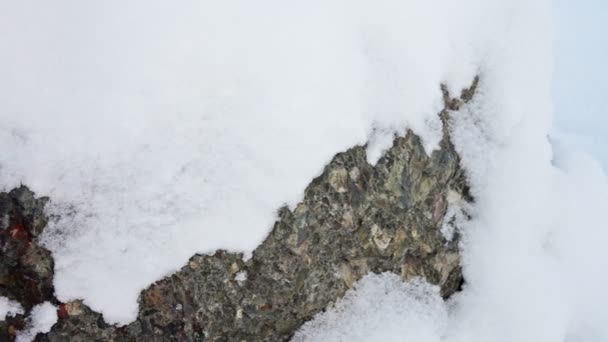 Granite stone surface covered with snow — Stock Video