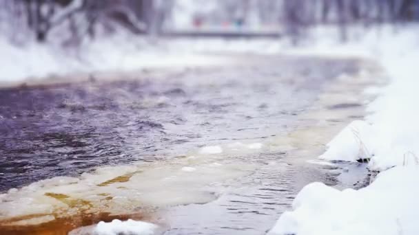 Lososinka rzeka i dryfuje lodu na zimowe wieczory — Wideo stockowe