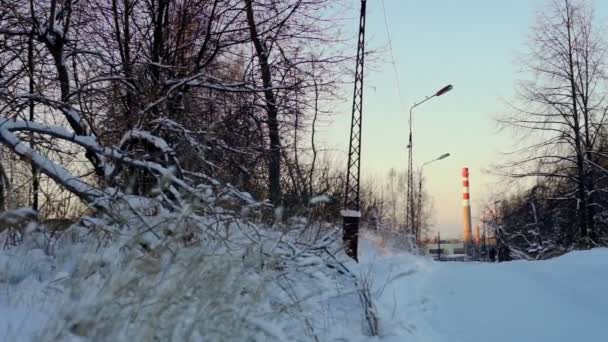 Öffentlicher Garten mit Schnee bedeckt — Stockvideo