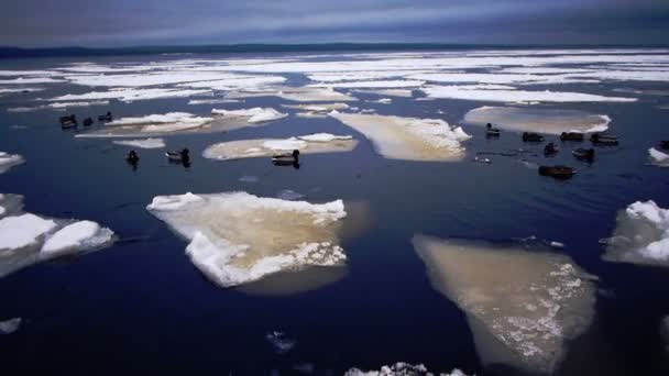 Lago Onego e ghiaccio galleggiante al crepuscolo invernale — Video Stock