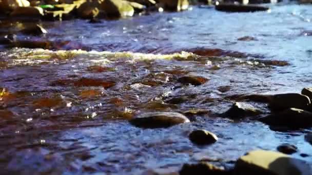 Wilde rivier stream met spatten — Stockvideo
