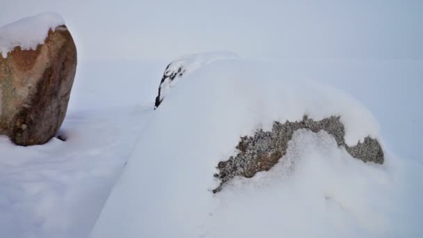Kilka kamieni granitu pokryte śniegiem — Wideo stockowe