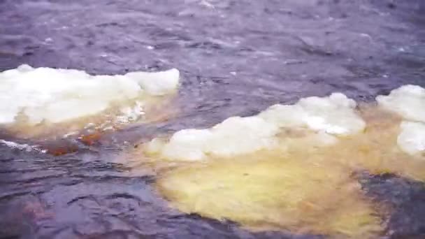 Lososinka ποτάμι και παρασύρεται πάγου σε χειμερινή ημέρα — Αρχείο Βίντεο