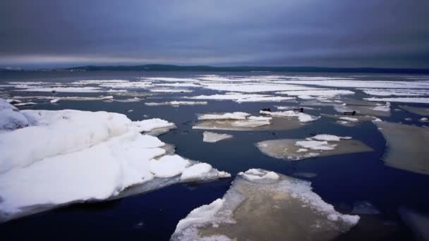 Lago Onego e ghiaccio galleggiante al crepuscolo invernale — Video Stock