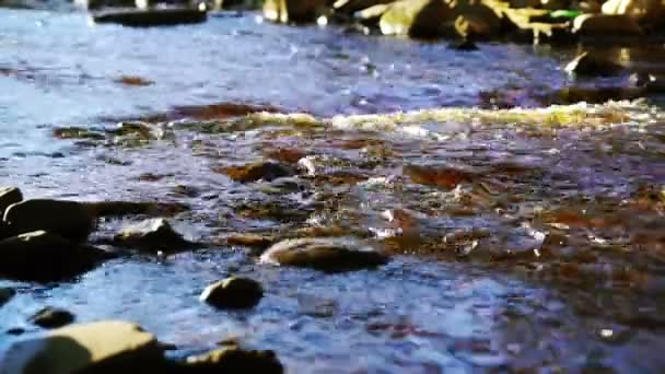 Wild river stream with splashes — Stock Video