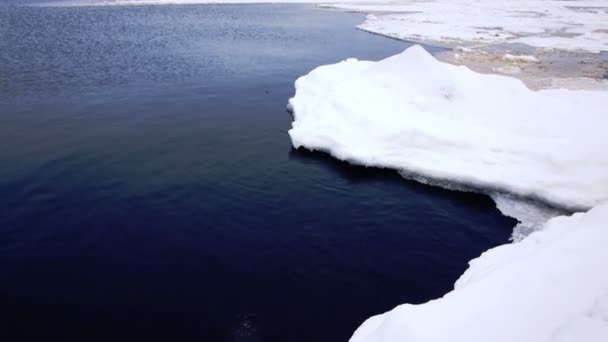 Pezzo di ghiaccio galleggiante in acqua — Video Stock