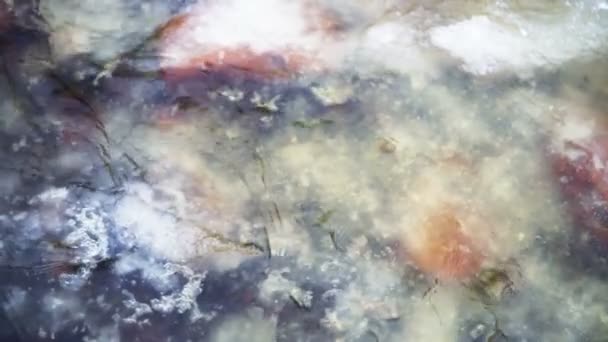 Piedras naranjas bajo hielo flotante — Vídeo de stock