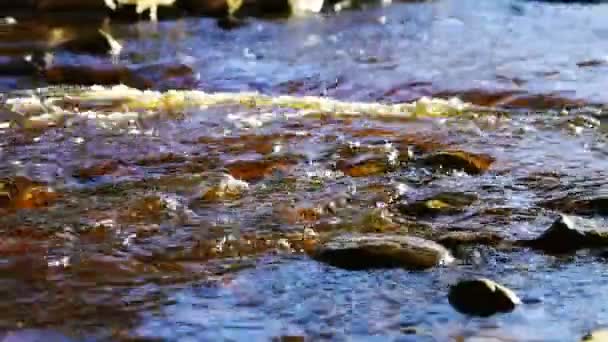 Дикий речной поток с брызгами в солнечный день — стоковое видео