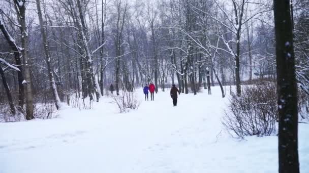Lidé kráčející po nevyklizené cestě městského parku — Stock video