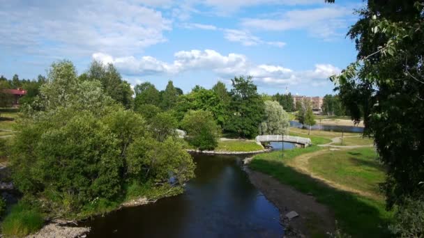 Jardín con estrecho río y pequeño puente — Vídeo de stock