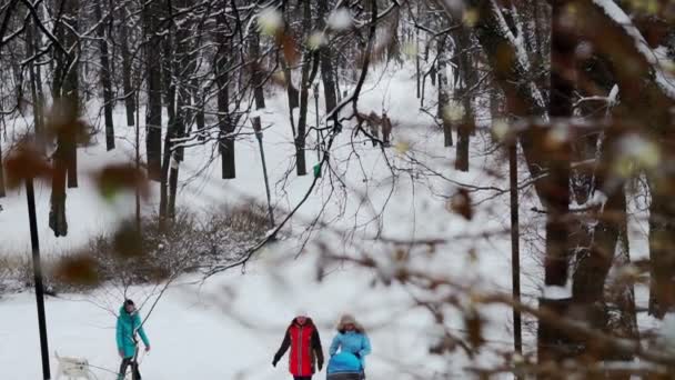 Les gens marchent dans le jardin public — Video