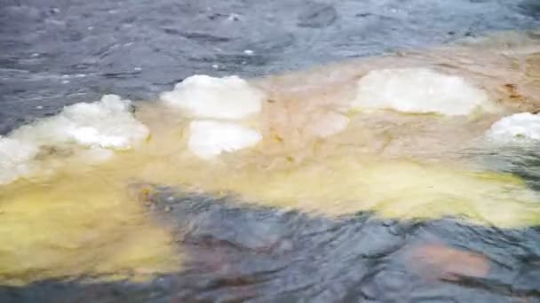 Lososinka river and drifting ice — Stock Video