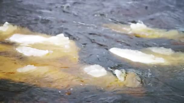 Lososinka rivier en drijven ijs bij winterdag — Stockvideo