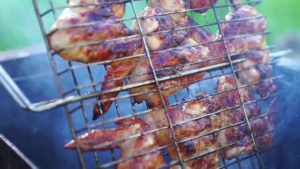 Kyllingvinger på grill på piknik – stockvideo