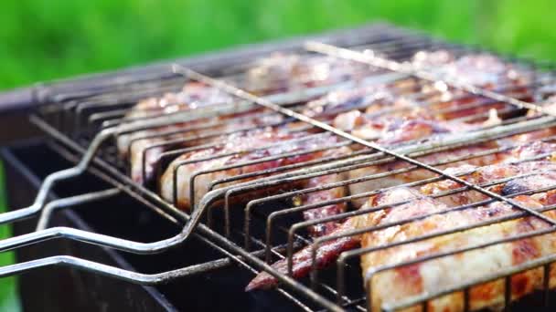 Alitas de pollo a la parrilla en el picnic — Vídeos de Stock