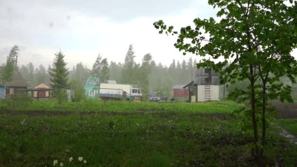 Deszcz dzień w wakacje wieś w pobliżu Petrozavodsk — Wideo stockowe
